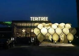 TERITREE RESTAURANT LOGO